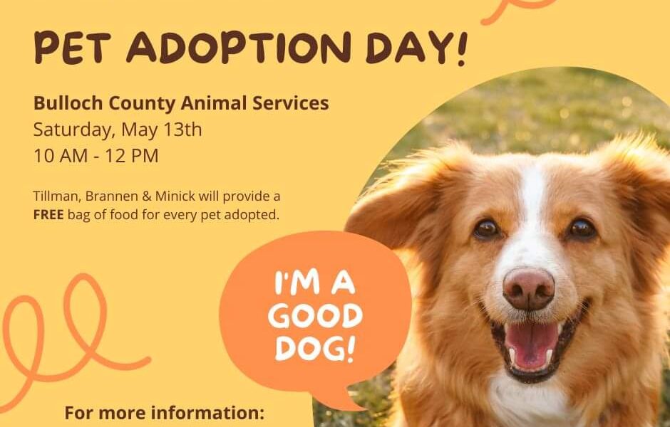 Bulloch Animal Shelter Adoption Event at TBM Saturday, May 13 ...