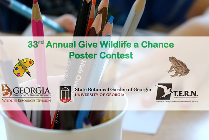 ga dnr wildlife poster contest winners