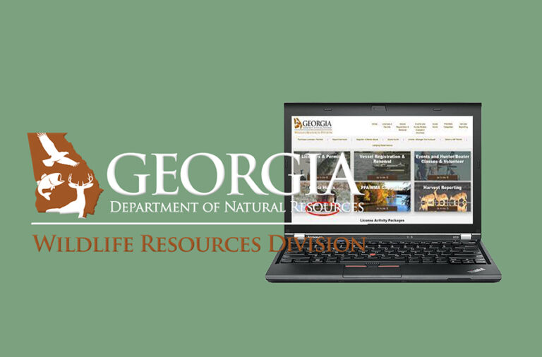 Georgia Quota Hunt Application Period Begins June 1 AllOnGeorgia