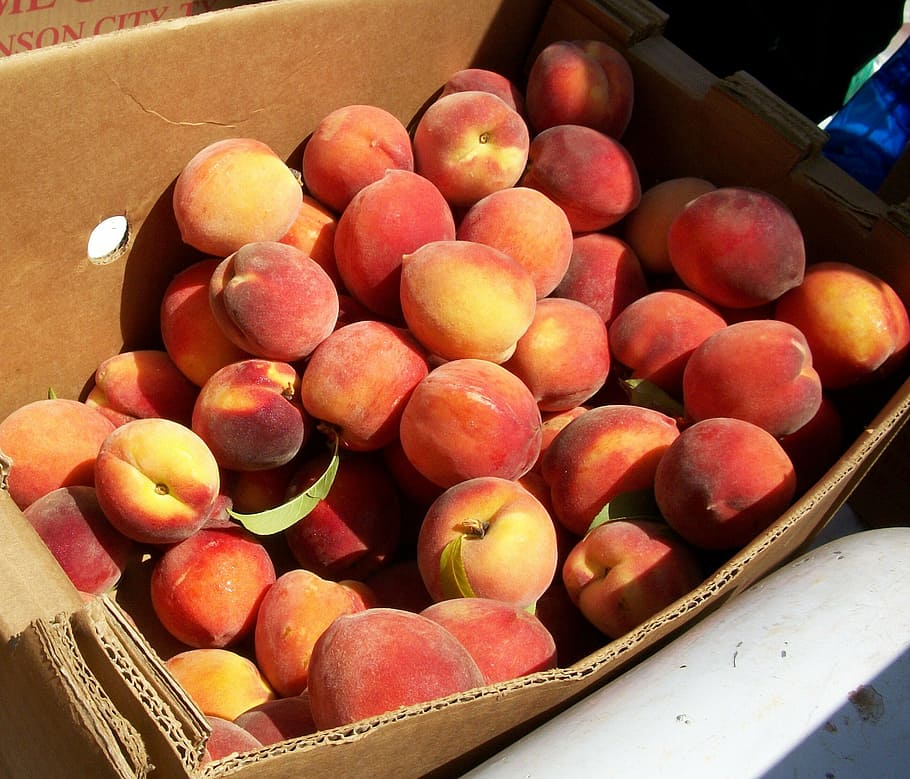 peaches-market-organic-bushel