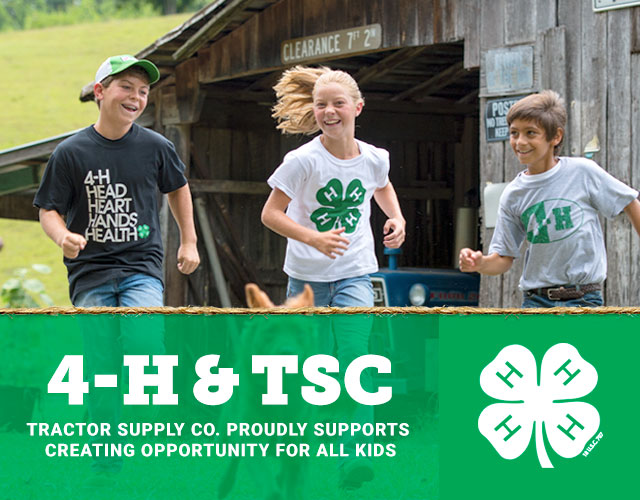 tractor supply 4-h clove