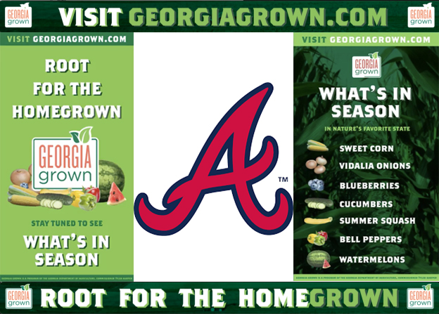 Atlanta Braves Partnership