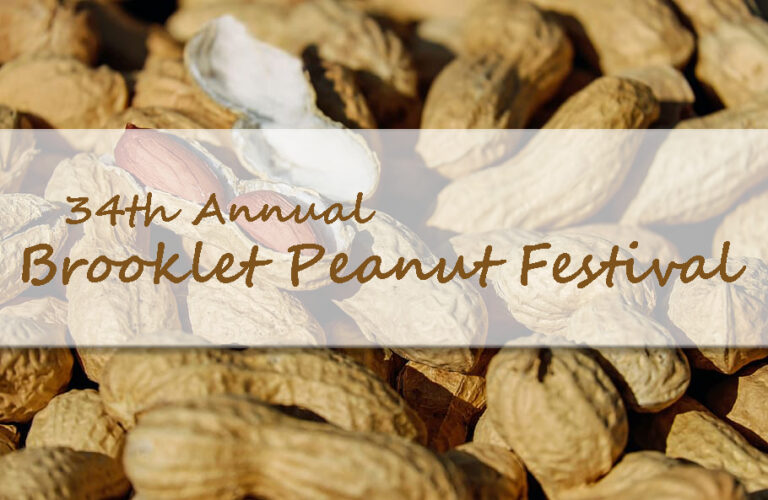 34th Annual Brooklet Peanut Festival September 16