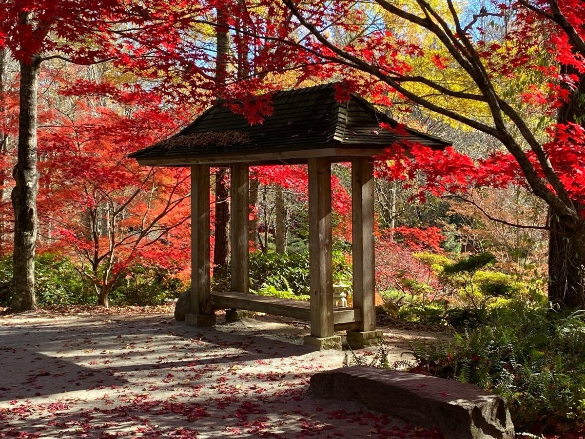 Japanese Gardens Red