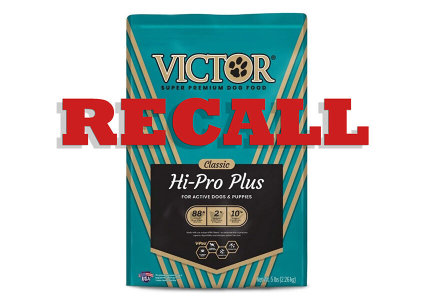 RECALL Victor Super Premium Dog Food Due to Possible Salmonella