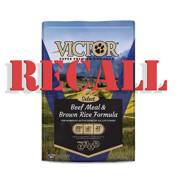 Blood meal in shop victor dog food