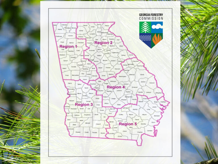 Georgia Forestry Commission Strengthens Regional Focus - AllOnGeorgia