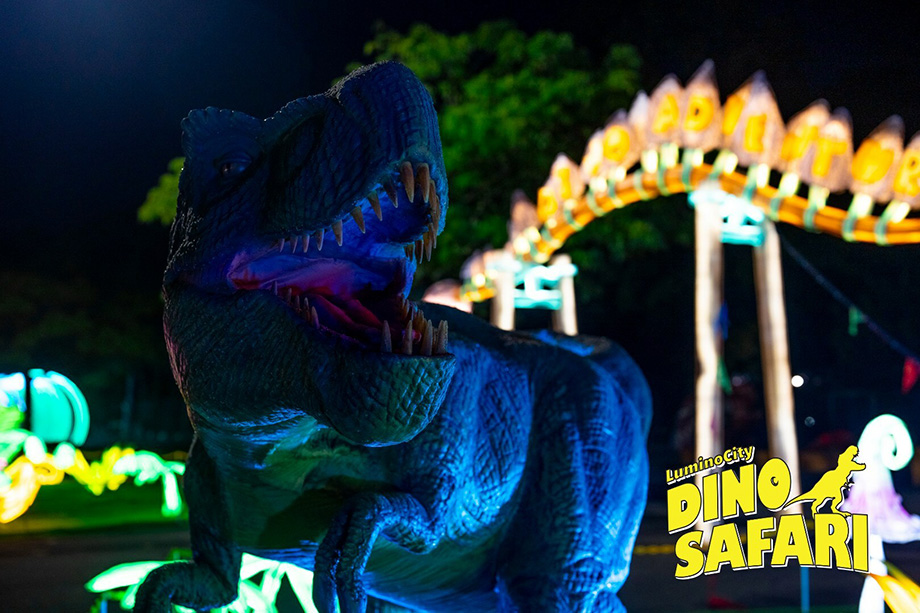 dino safari lights festival