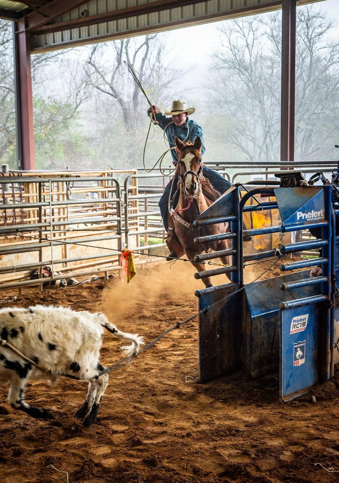 acaaeb74-bb17-463a-8ef5-392cd6f4279c