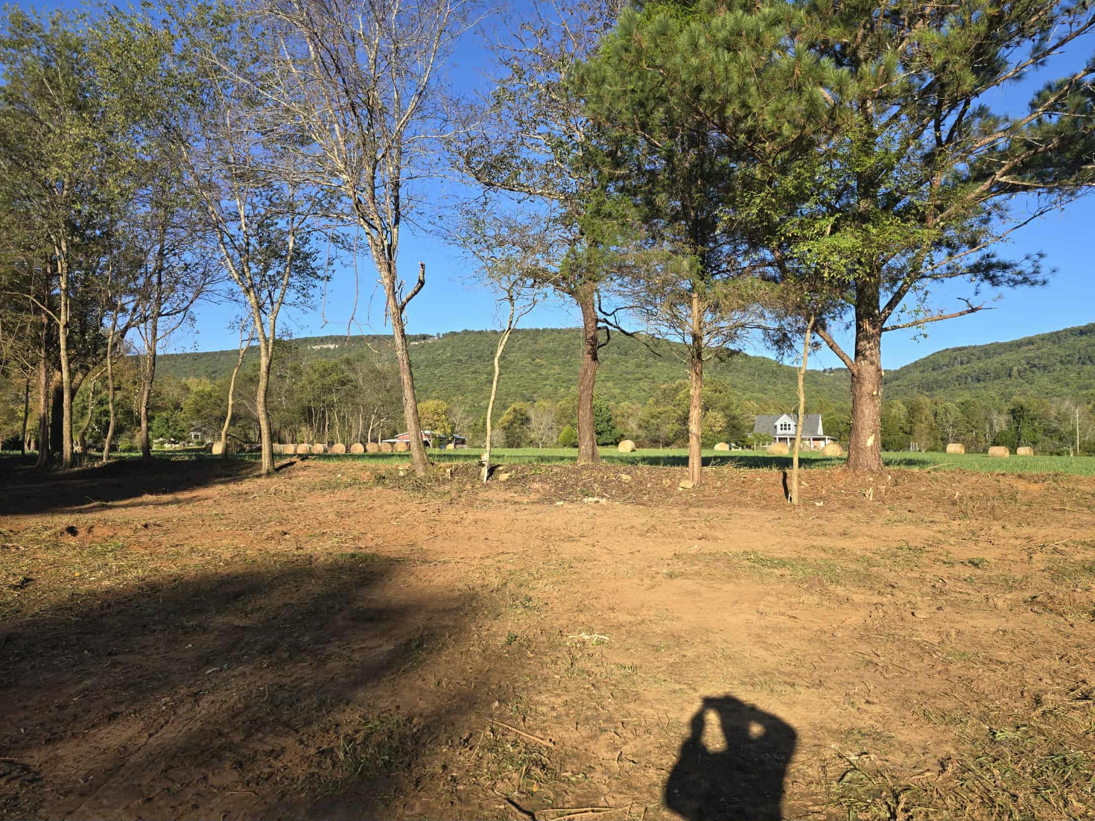 5e607504-9505-4dff-a341-80830faa93d2