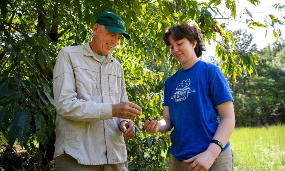 Genomics offers a faster path to restoring the American chestnut