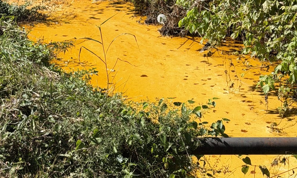Update – Reported spill in creek near Lyerly St